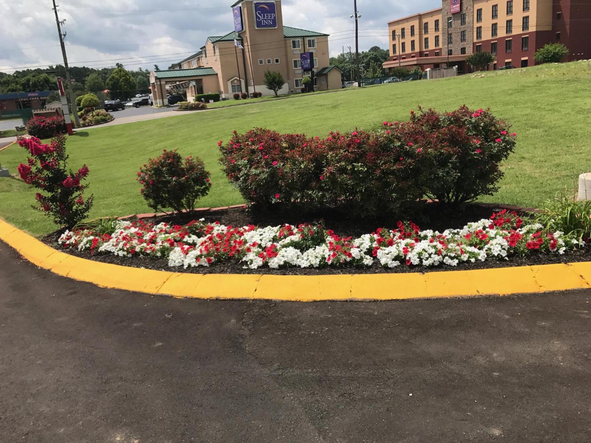 Lotus Inn And Suites Nashville Exterior foto